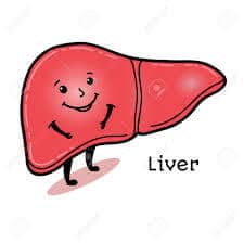 Healthy Liver Support