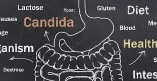 Supplements for Candida