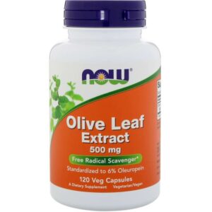now olive leaf extract 500mg 120 capsules